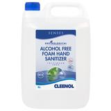 Alcohol free sanitizer  - 2x5l